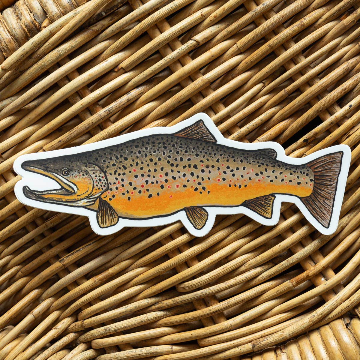 Brown Trout Fish Sticker