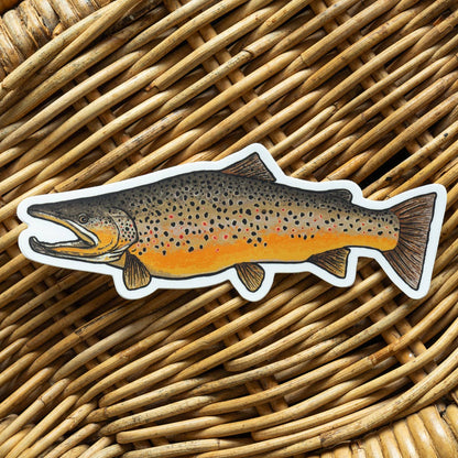 Brown Trout Fish Sticker