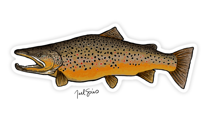 Brown Trout Fish Sticker