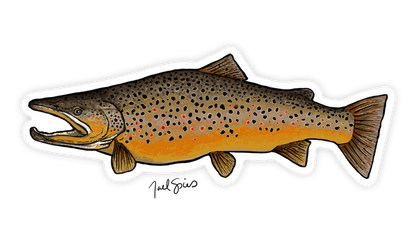Brown Trout Fish Sticker