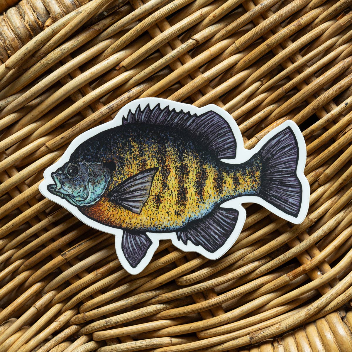 Bluegill Fish Sticker