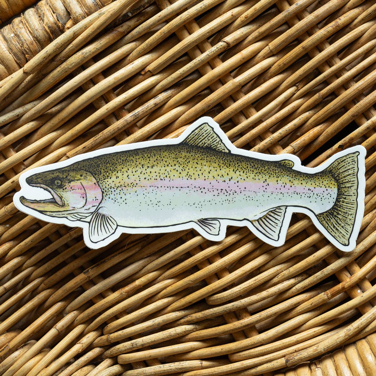 Rainbow Trout Fish Sticker