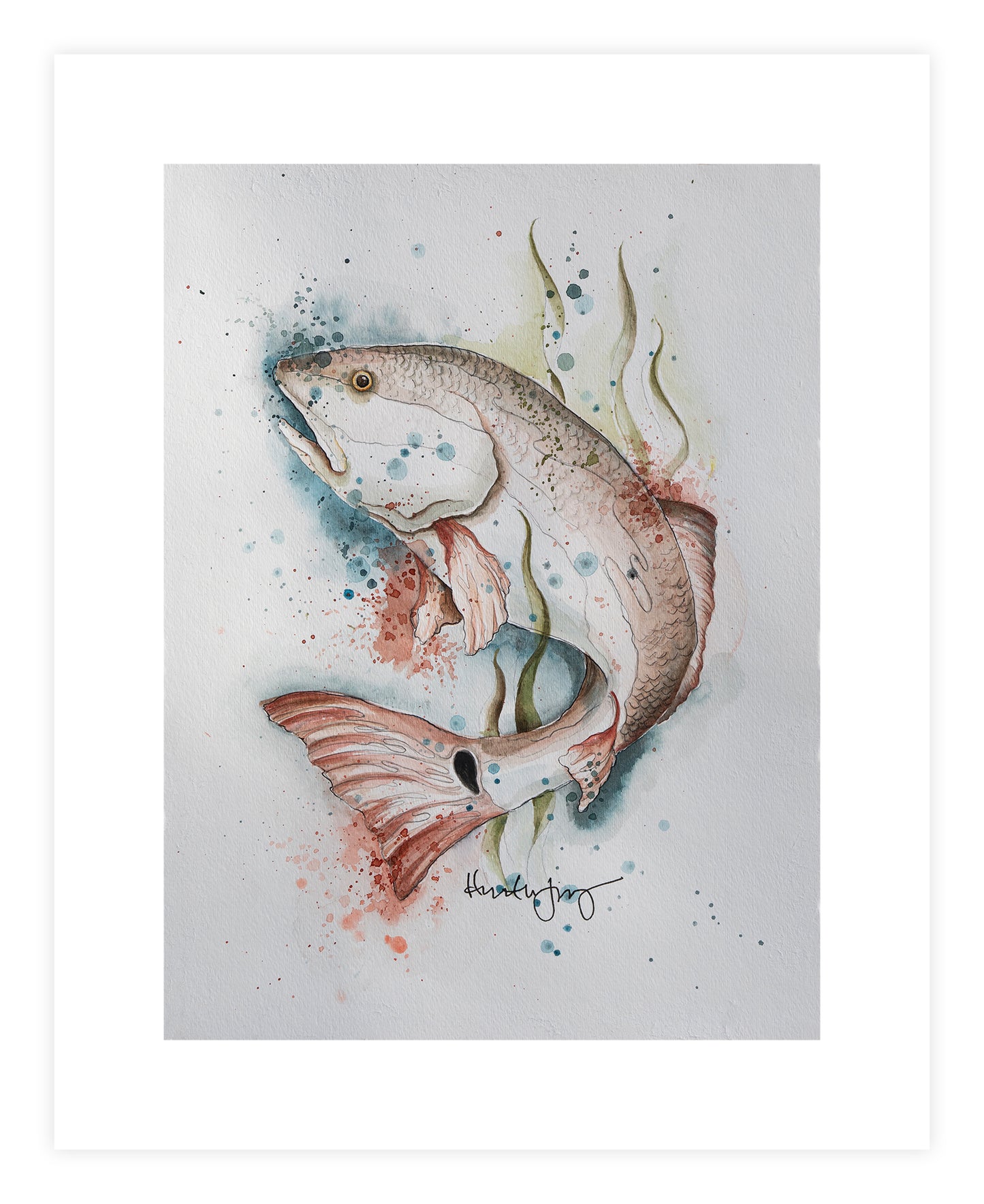 Redfish Watercolor Painting by Heather Jimenez